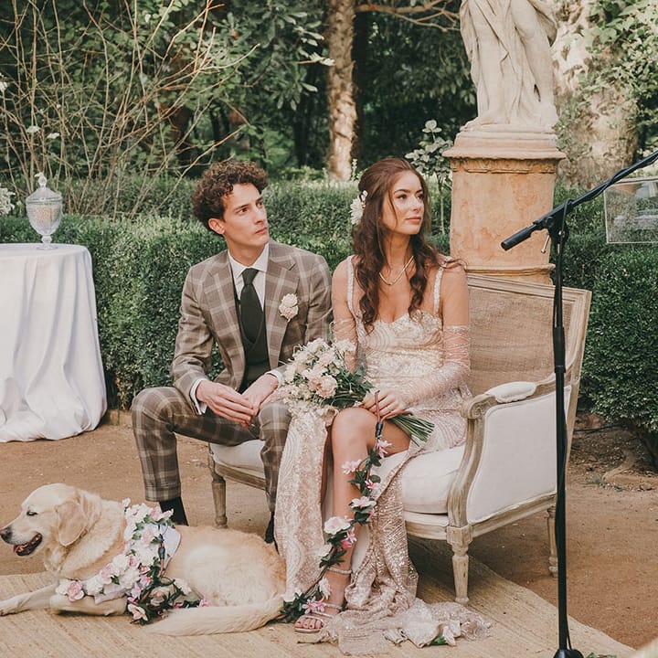 golden retriever pet at wedding with flower collar 