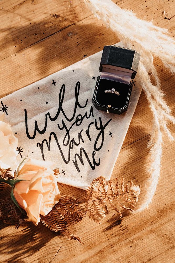 Business Proposal Speech Example Business Proposal Speech Example