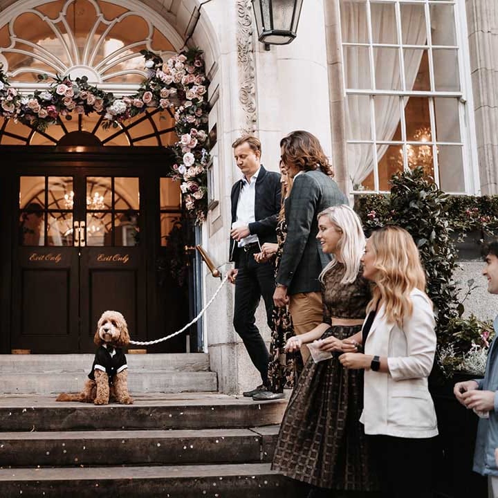 Ginger cockapoo poses in outfit outside Town Hall wedding as wedding guests smile alongside