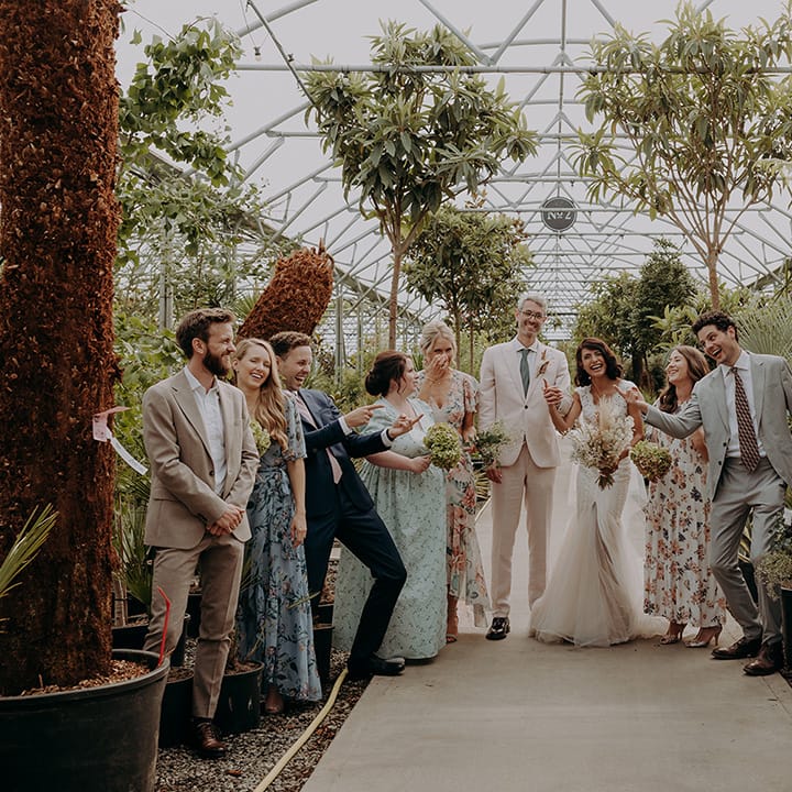 Posed photo of the wedding party in greenhouse with members pointing at each other and laughing