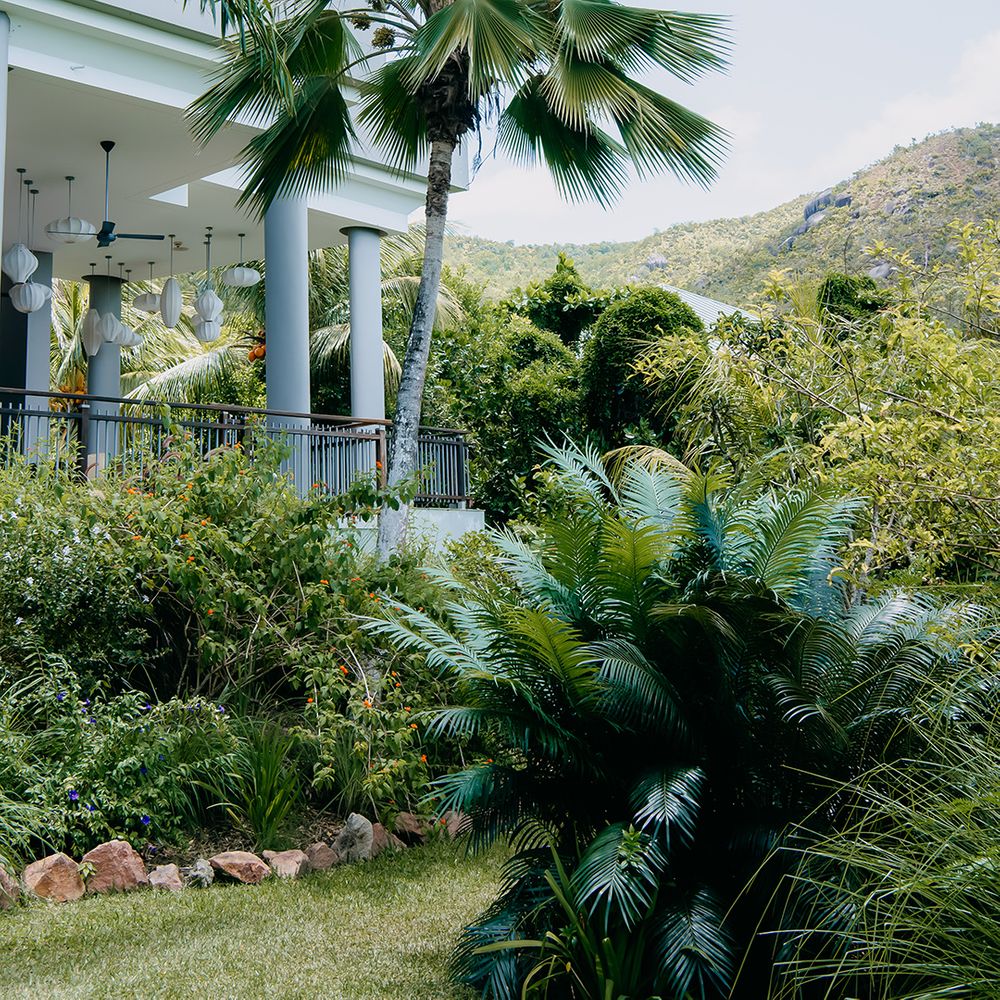 Raffles Hotel and Resort on Praslin Island, Seychelles - palm trees and tropical foliage in front with mountains in the background