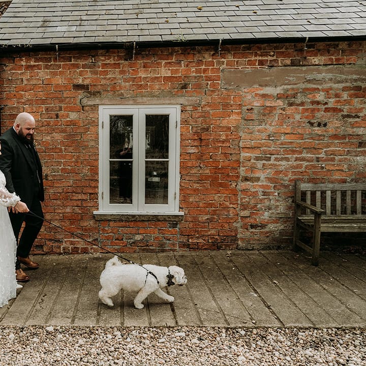 The bride and groom walk around the wedding venue with their pet dog 