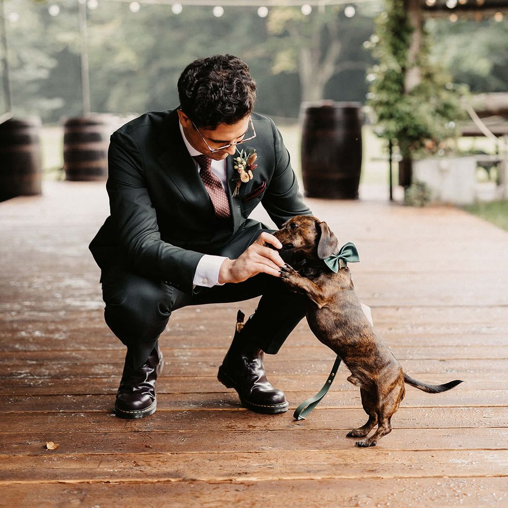 Groom and his pet sausage dog before wedding ceremony