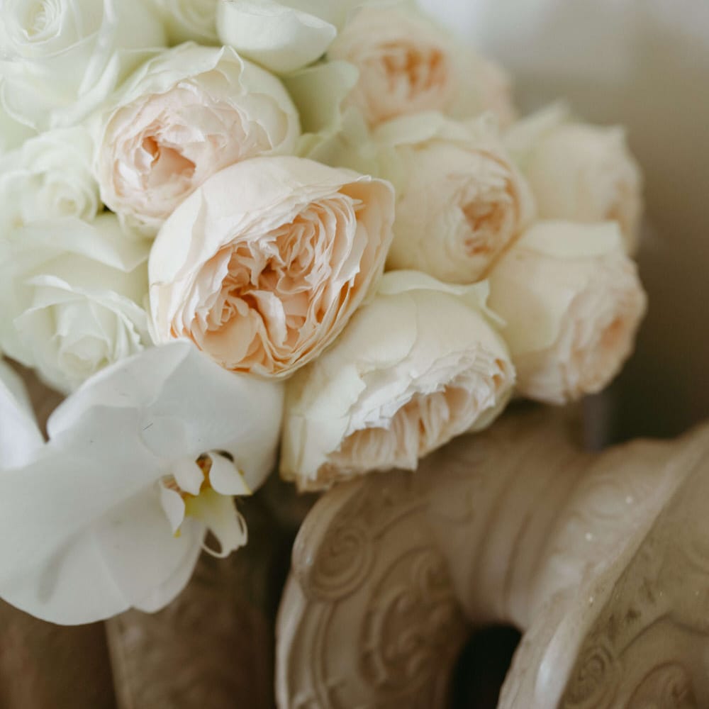 A bouquet of white peonies