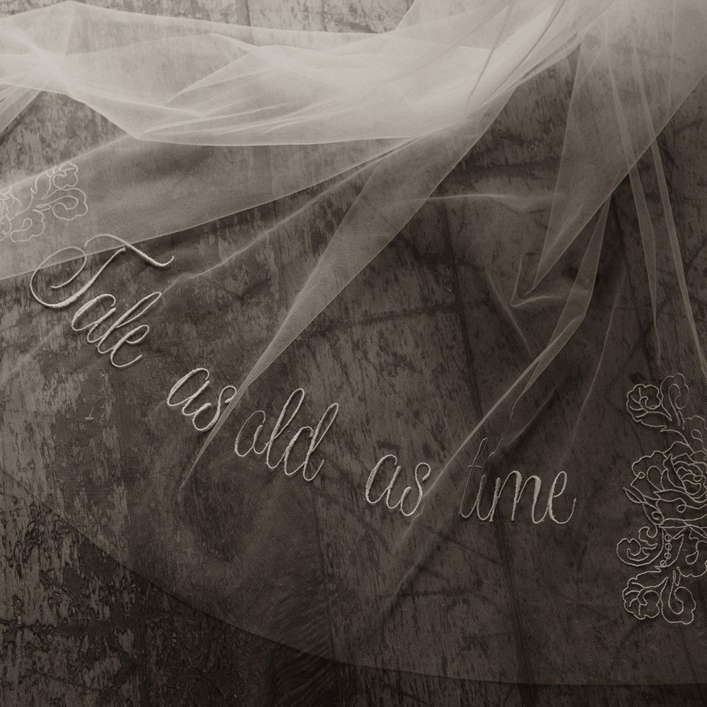 Embroidered wedding veil for Disney theme wedding with quote from Beauty and the Beast at a bouncy castle wedding 