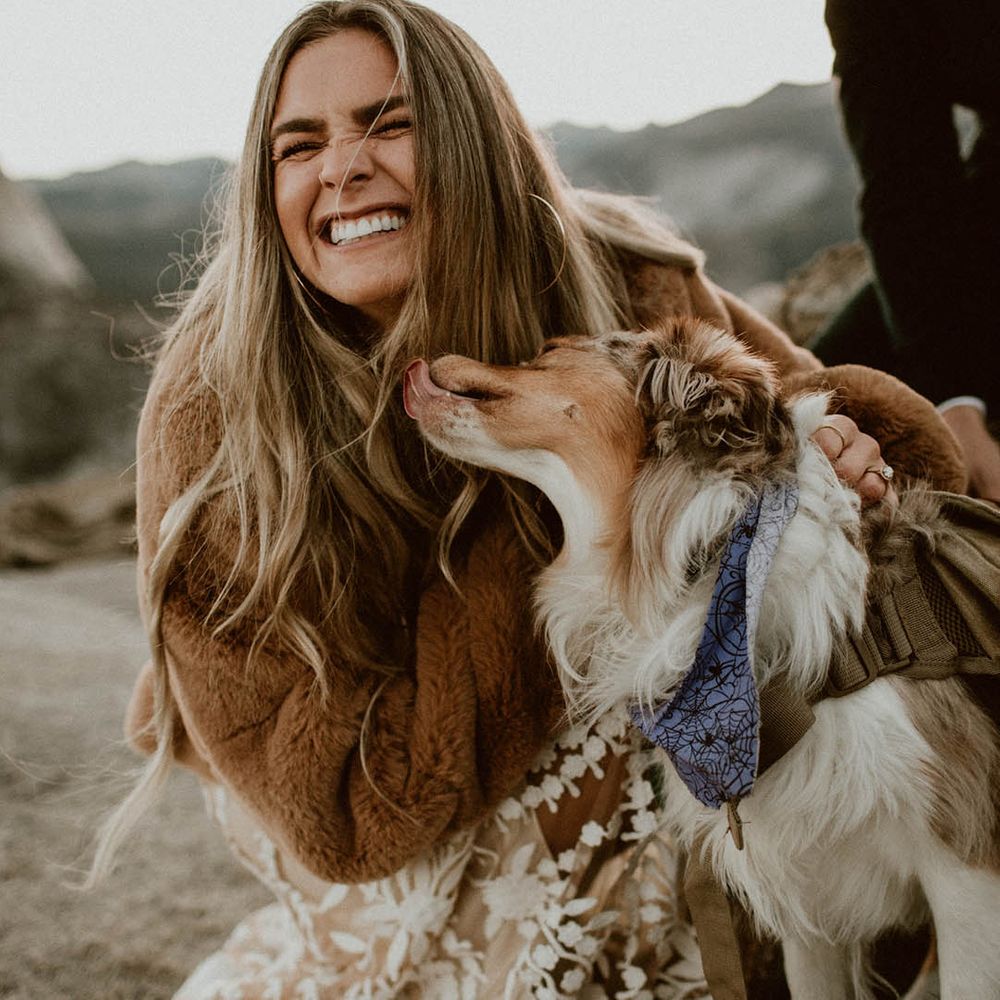 Bride laughs as dog licks her face on her wedding day