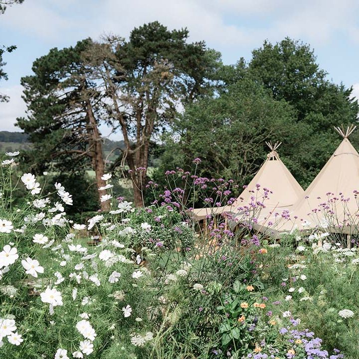 Countryside back garden wedding with Buffalo Tipi for the wedding reception based in Bath