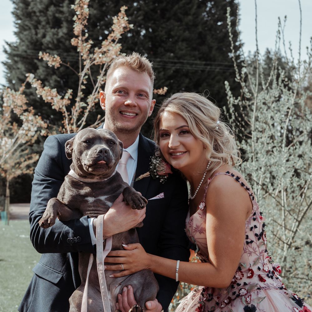 Bride & groom stand with their Staffordshire bull terrier on their wedding day