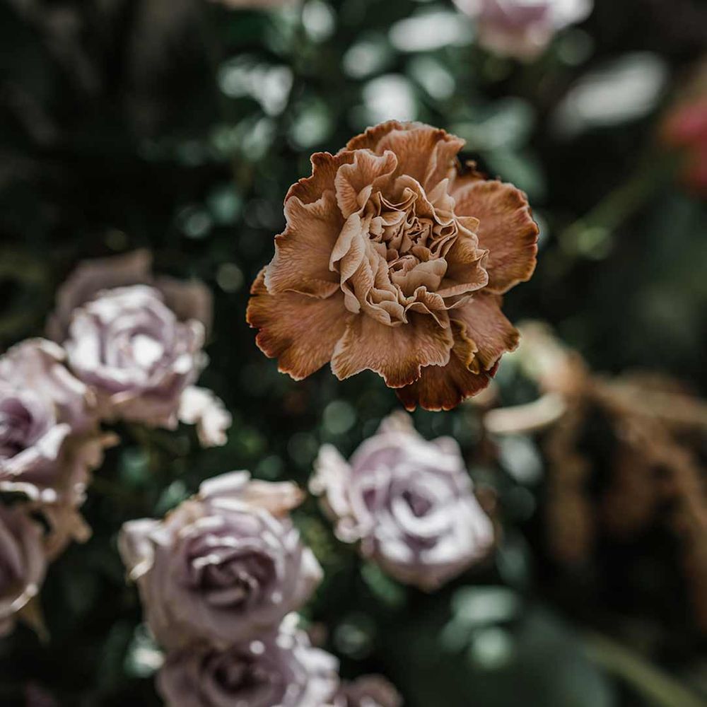Dried carnation in dried wildflower wedding flower arrangement at Buxted Park
