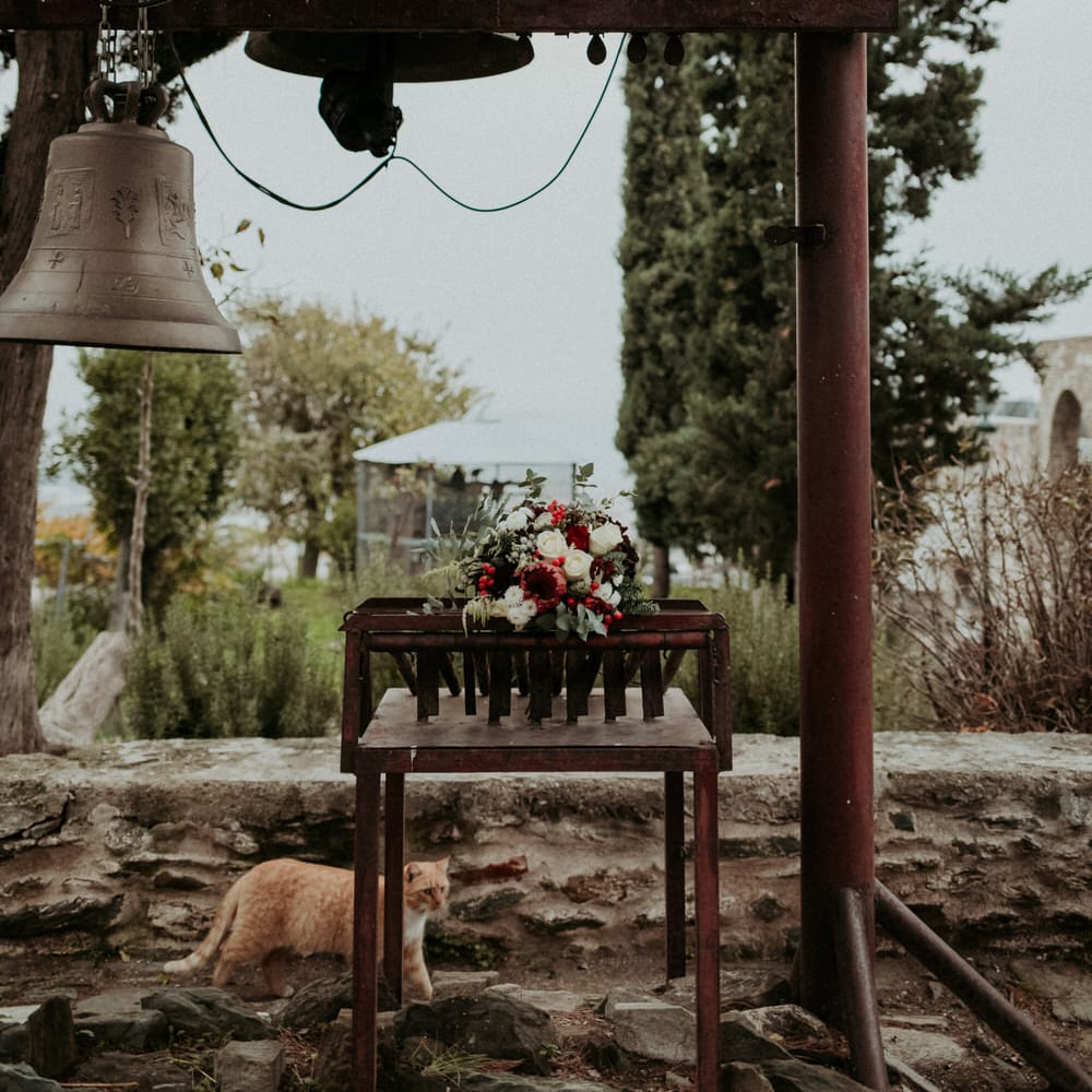Church bells and a bouquet of red and white wedding flowers (plus a cat!)