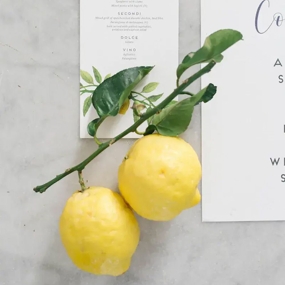 Lemon-themed wedding decor featuring wedding menu and citrus table decor by Irene Fucci photography