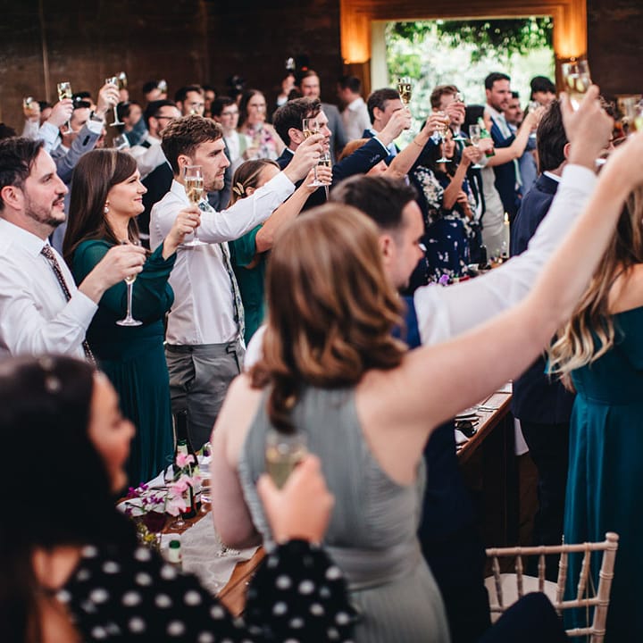 All the wedding guests lift their glasses in a toast for the bride and groom on their wedding day