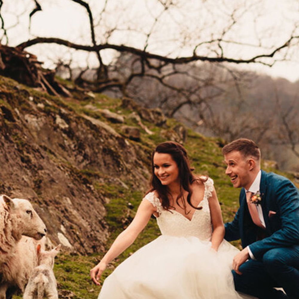 The bride and groom reach out to pet the sheep and lamb on their barn wedding at the Barn in The Fells 