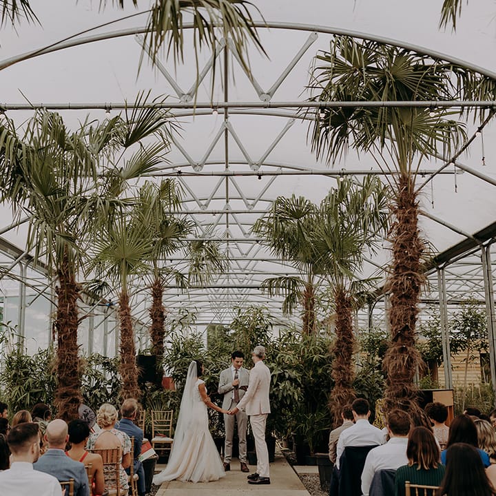Bride and Groom hold hands during wedding ceremony at Architectural Plants Venue