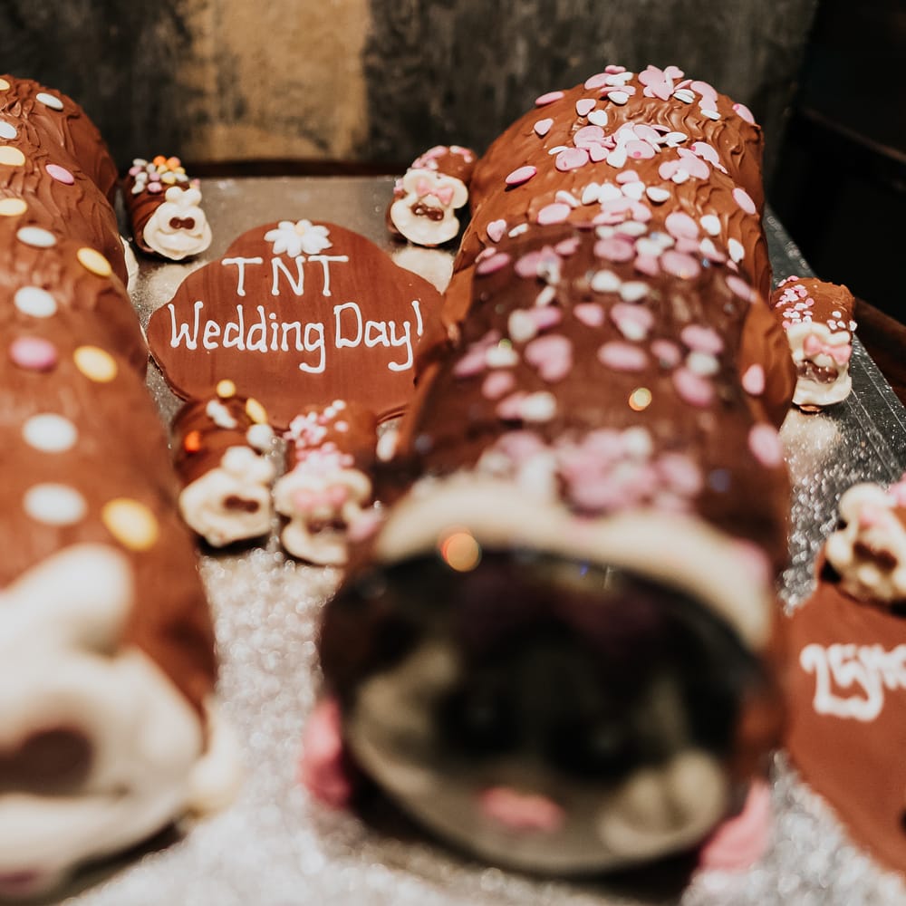 Colin & Connie Caterpillar wedding cakes 