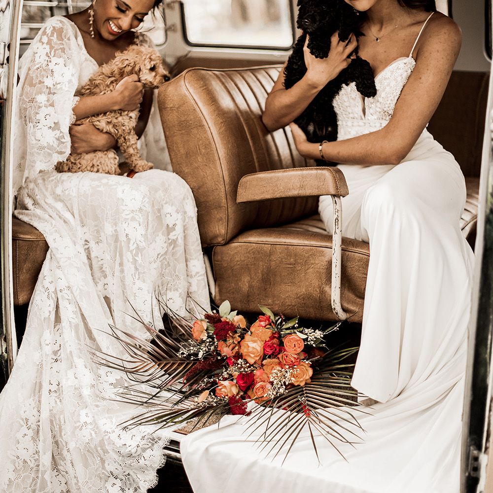 Two brides in a lace and fitted wedding dress holding a tan and black cockapoo puppy inside a VW camper van at their farm wedding venue 