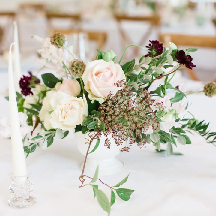 Lucy Davenport Photography Soar Hathersage 215