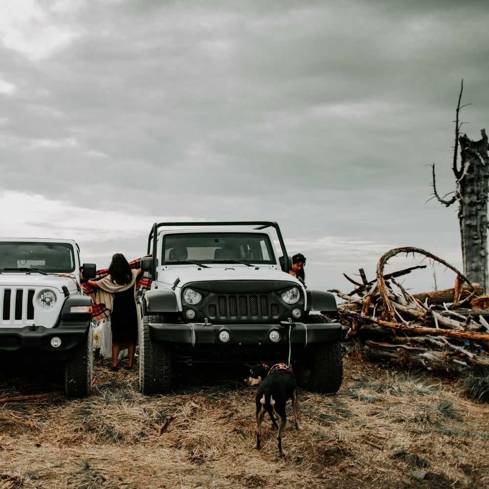 White wedding Jeeps on mountain tops