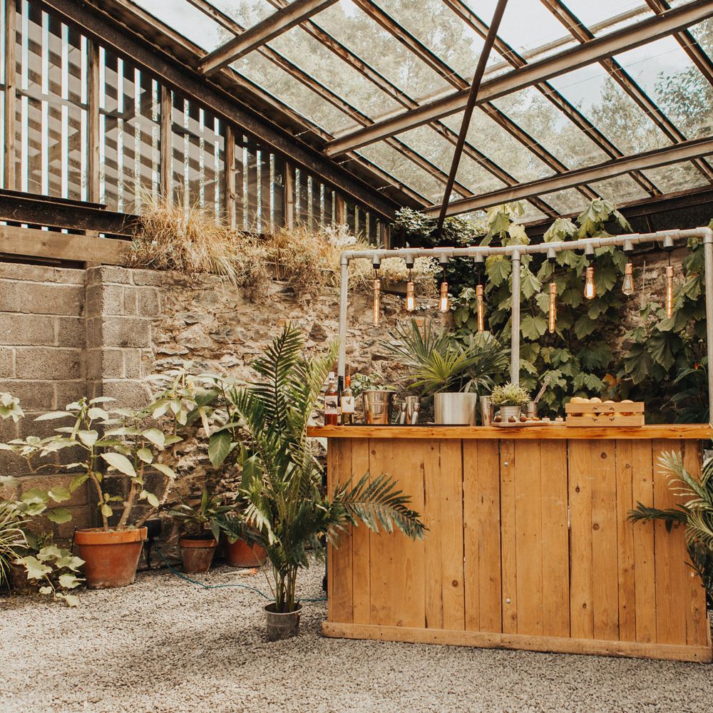 Wooden industrial themed bar with hanging naked bulbs in glasshouse with potted plants for wedding breakfast at Anran Devon