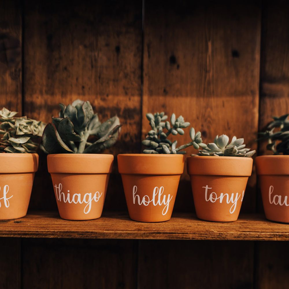 Personalised succulent flowers for wedding guests 