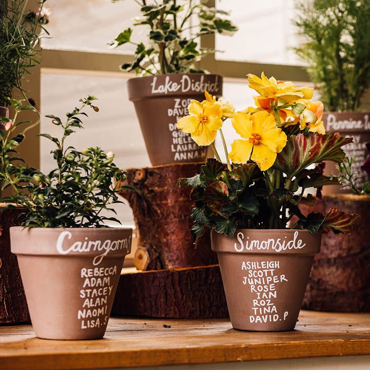 Unique botanical plant pot wedding table plan idea 