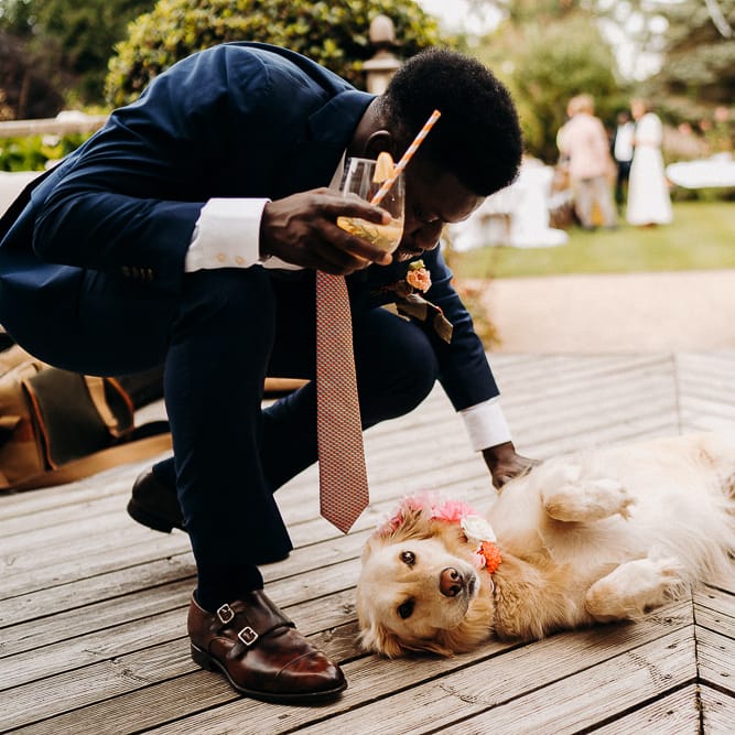Groom in brown monks trap shoes stroking his pet golden retriever with a pink flower collar 