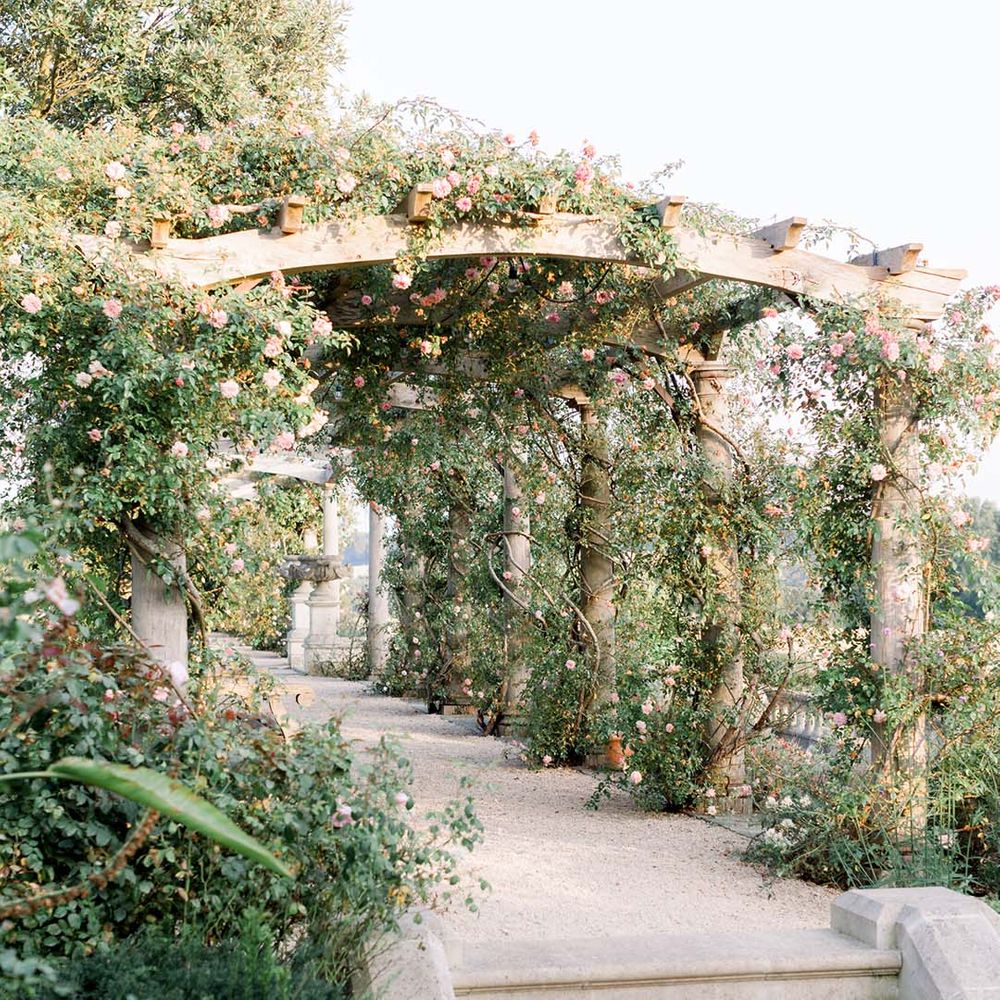Beautiful pergola covered in green foliage and florals 