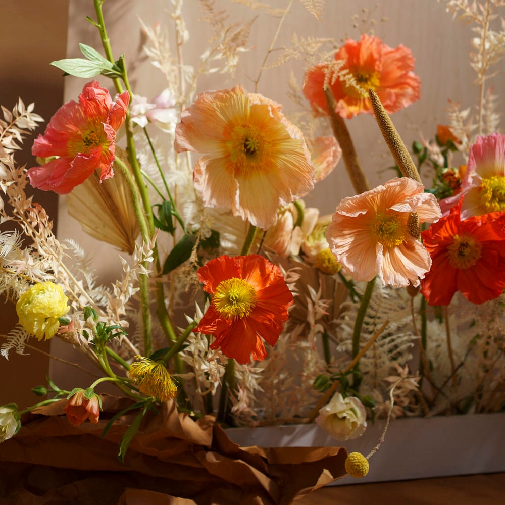 Orange and peach colour poppies with dried flowers