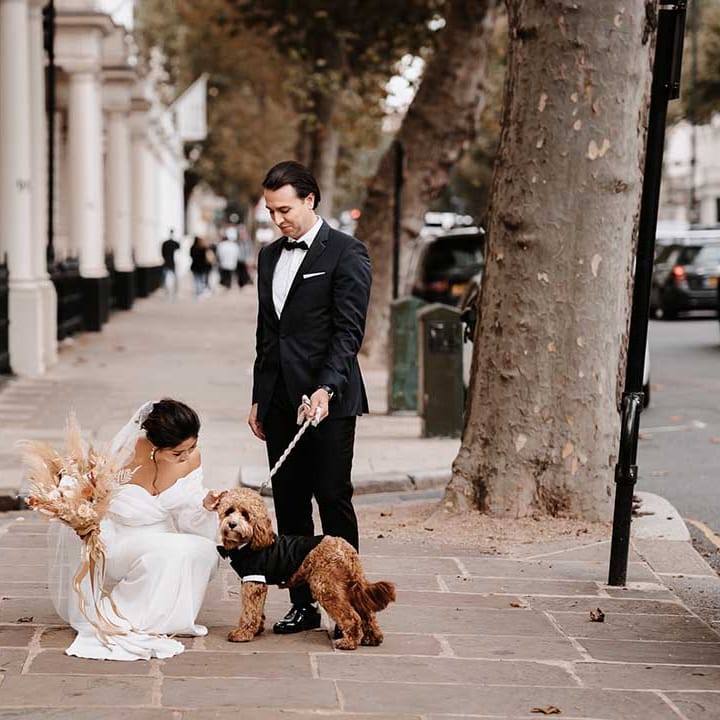 Ginger cockapoo dog poses in black wedding suit matching the groom and bride holding nude colour palette dried flower bouquet 