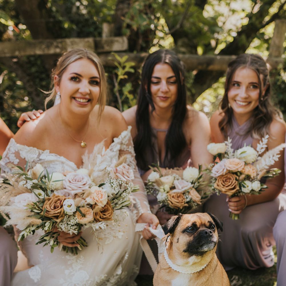 Bride & her bridesmaids in pink bridesmaid dresses sit beside their pet dog outdoors