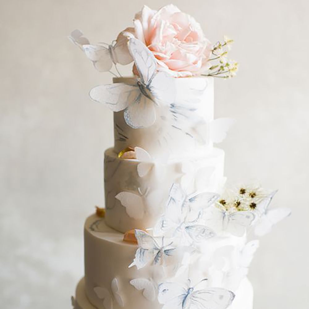 Bufferfly-themed wedding cake by Marion Heurteboust Photography