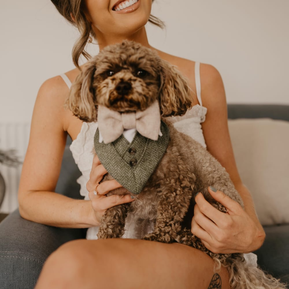 Bride sits with her dog who wears bow tie and tweed  | Mark Bamforth Photography