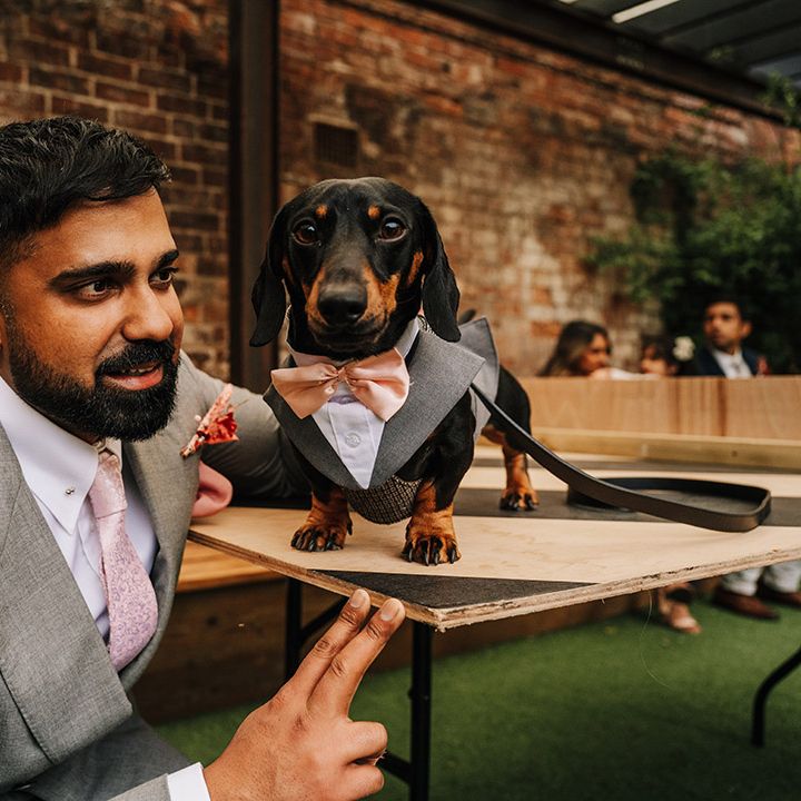 pet-dog-wearing-tuxedo-at-wedding