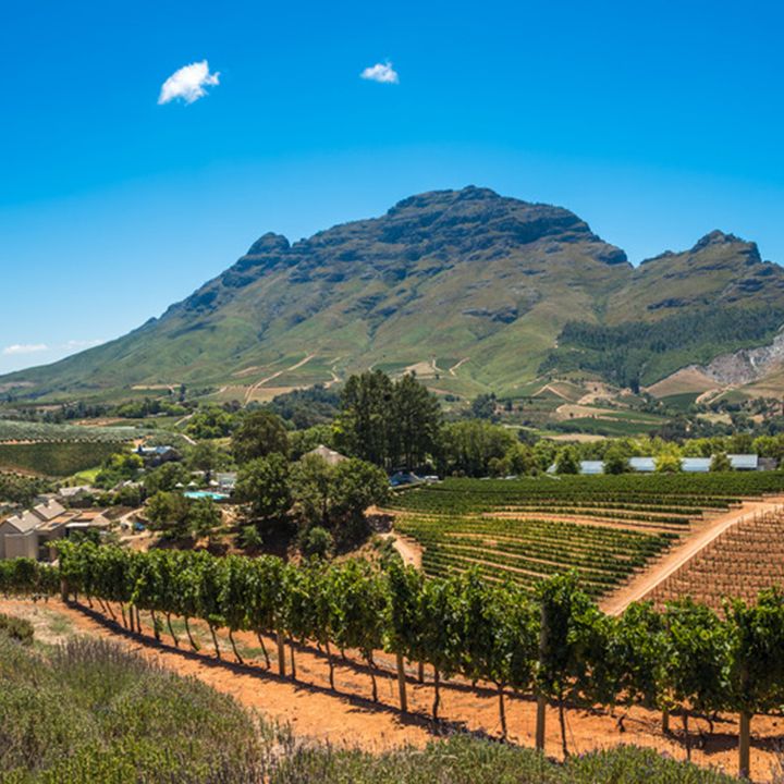 cape-winelands-south-africa