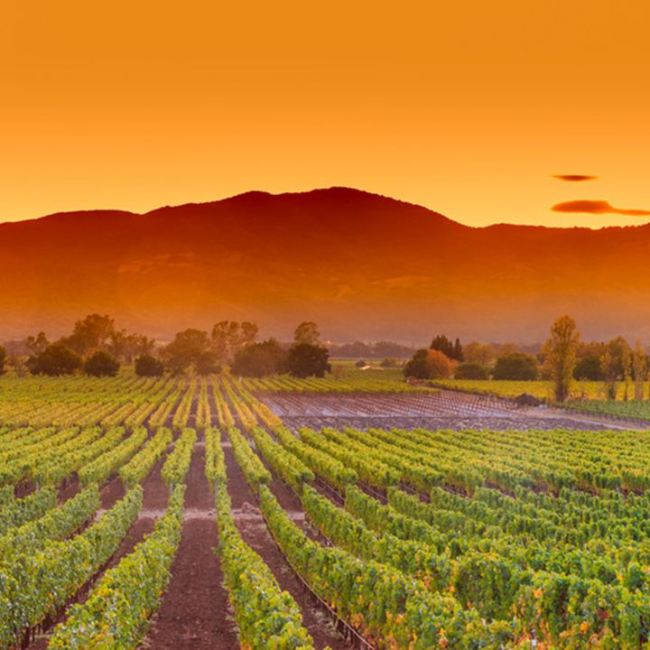 napa-valley-california-vineyard-proposal-location-ideas