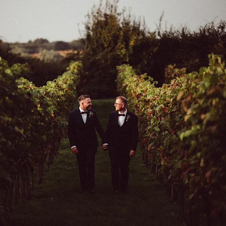copdock hall vineyard wedding venue, couple in grapevine rows on wedding day