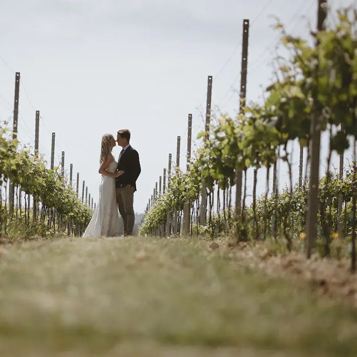 pinkmead estate vineyard wedding with couple in vineyard