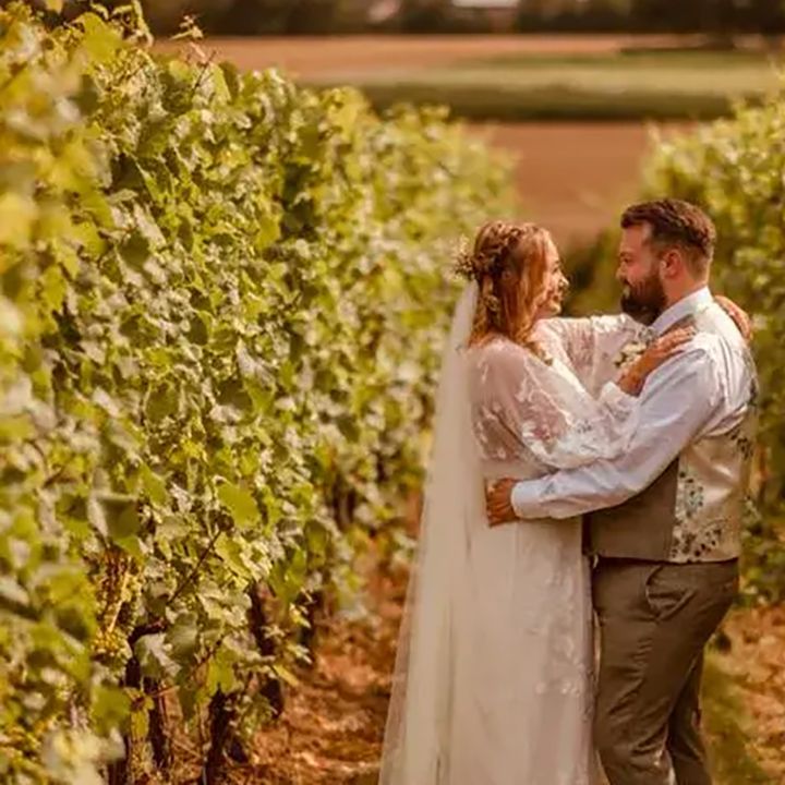 tuffon hall vineyard wedding venue, couple in grapevine rows