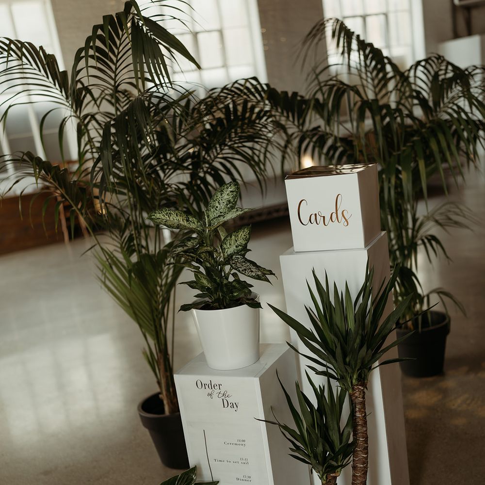 order-of-the-day-sign-with-card-box-and-greenery-decor