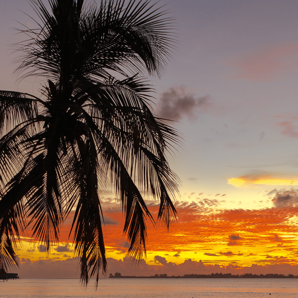 Romantic beach sunset at a dreamy honeymoon destination.