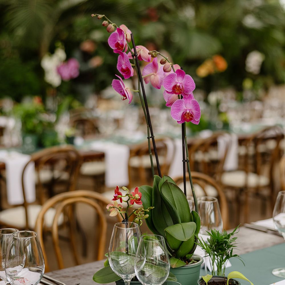 orchid-wedding-table-centrepieces