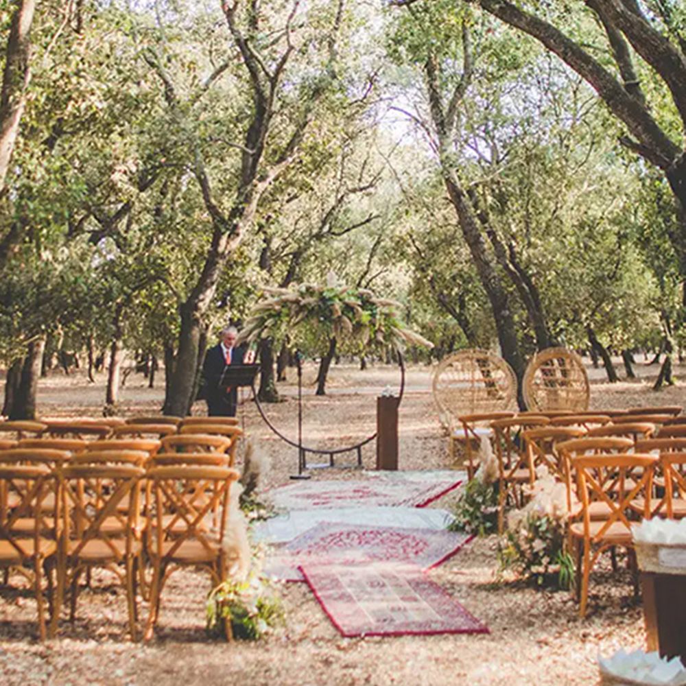 bosque-pagina-nuestra-finca