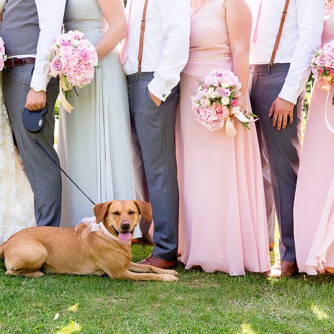 Image by <a href="https://www.katherineashdown.co.uk" target="_blank">Katherine Ashdown Photography</a>