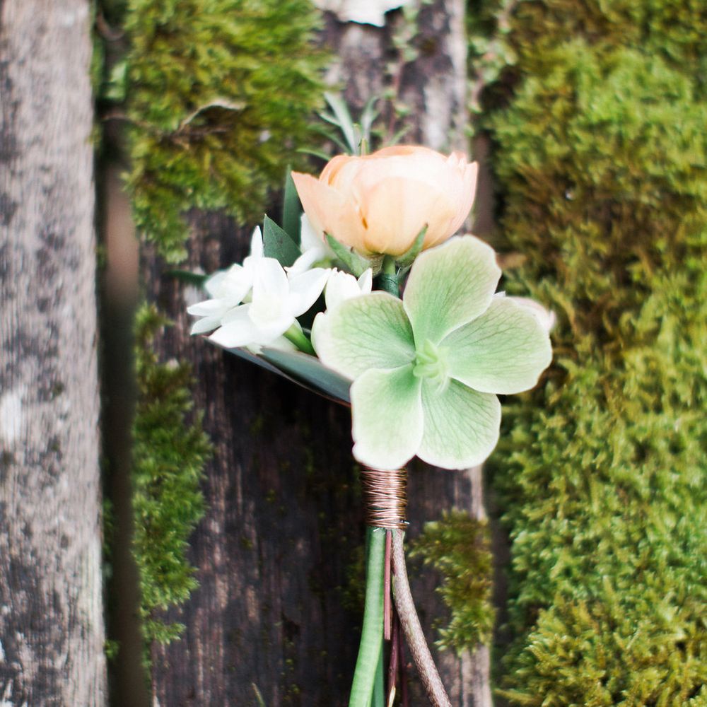 Image by <a href="https://www.melissabeattie.com/" target="_blank">Melissa Beattie</a>