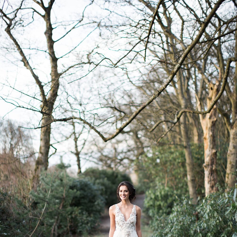 Image by <a href="https://www.melissabeattie.com/" target="_blank">Melissa Beattie</a>