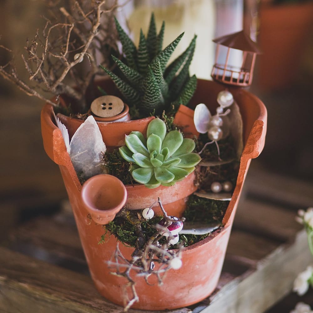 Image by <a href="https://lolarosephotography.com/" target="_blank">Lola Rose Photography</a>