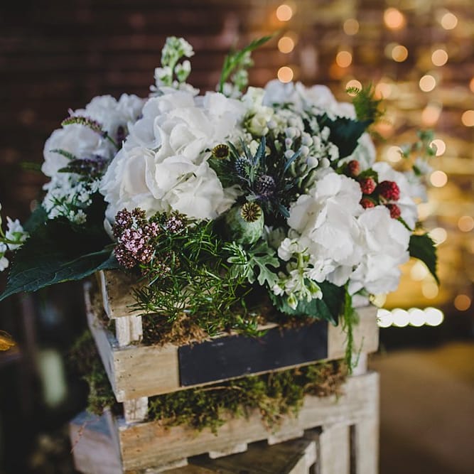 Image by <a href="https://lolarosephotography.com/" target="_blank">Lola Rose Photography</a>