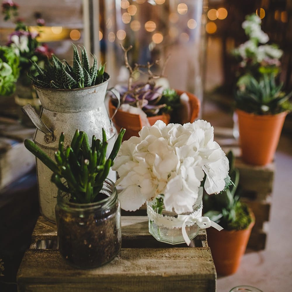 Image by <a href="https://lolarosephotography.com/" target="_blank">Lola Rose Photography</a>