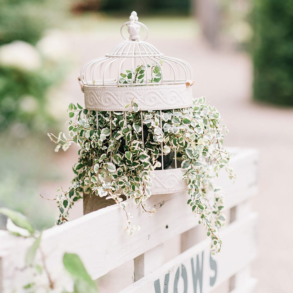 Image by <a href="https://georginaharrisonphotography.co.uk/" target="_blank">Georgina Harrison</a>
