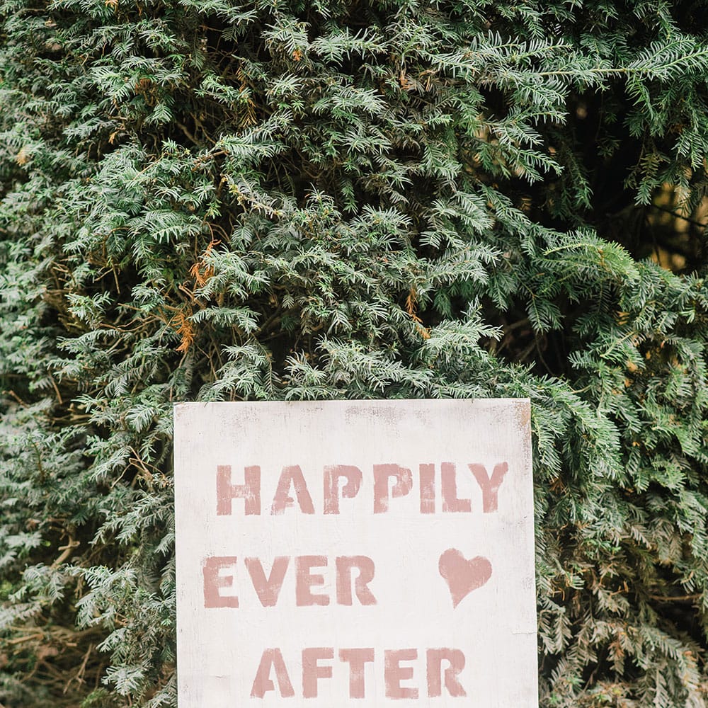 Image by <a href="https://georginaharrisonphotography.co.uk/" target="_blank">Georgina Harrison</a>